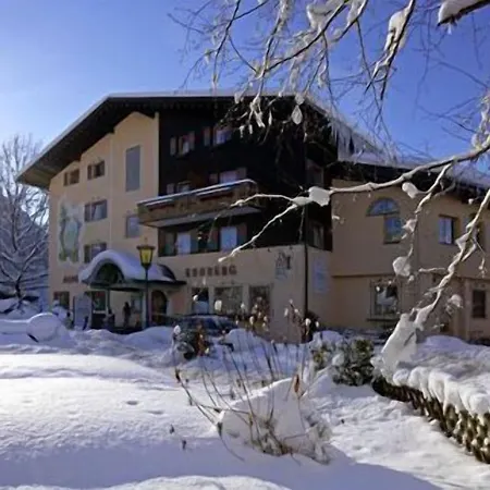 Alpenhotel Ernberg Ξενοδοχείο