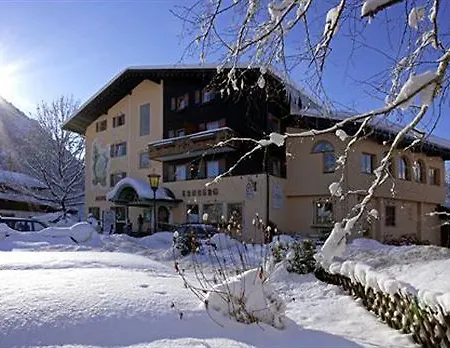 Hotel Alpenhotel Ernberg 3*