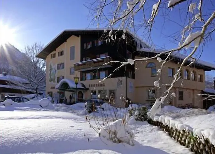 アルペンホテル エルンベルグ ホテル