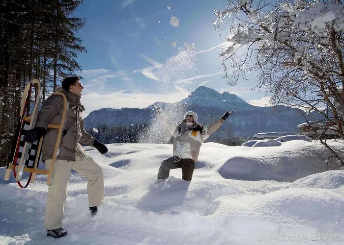 ホテル アルペンホテル エルンベルグ