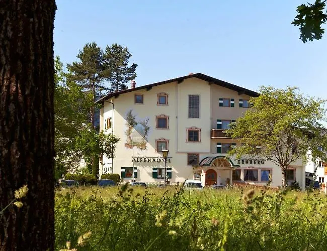 Hotel Alpenhotel Ernberg