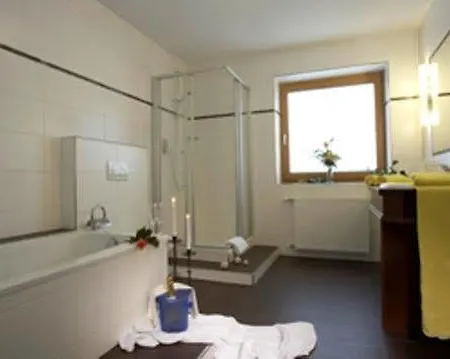 فندق Alpenhotel Ernberg 3*